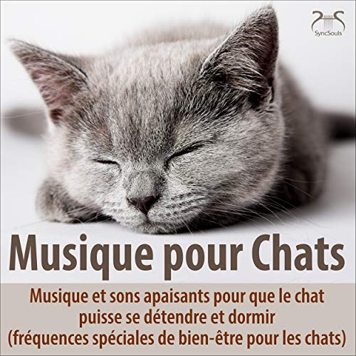 Musique de sommeil pour les chats part 8 : Cinquième en fa dièse-h, sommeil profond - avec un bruit blanc et un léger ronronnement