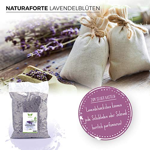 NaturaForte Flores de Lavanda 500g Lavanda sin aditivos - Azul, Fragancia intensa, Flores de Lavanda secas para Almohadas perfumadas, Bolsas perfumadas, Bolsas de Lavanda, Fragancia de popurrí