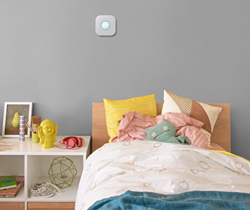 Nest Protect Detector De Humo y CO, Blanco, Versión Española