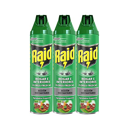 Raid - Hogar E Interiores, 600 ml - [Pack de 3]