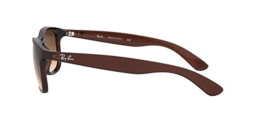 RAY-BAN Andy Gafas de sol, Matte Brown, 55 para Hombre