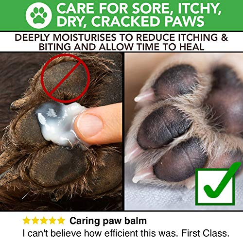 The Healthy Dog Co Bálsamo Calmante Natural para Patas, Nariz y Piel de Perros y Gatos | Crema Hidratante para Reparar la Piel Seca y Agrietada | para la Piel y Las Almohadillas de Las Mascotas