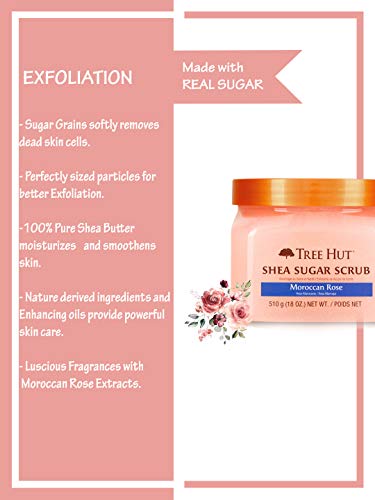 Tree Hut Exfoliante de azúcar, rosa de marruecos 570 g (700323)