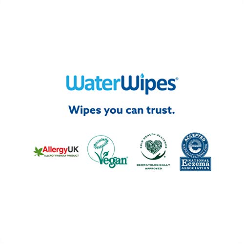 WaterWipes Toallitas para Pieles Sensible de Bebé, 99.9% agua purificada, 4 paquetes x 60 toallitas (240 toallitas)