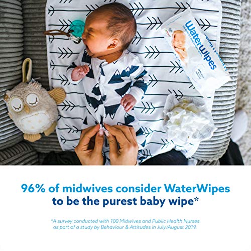 WaterWipes Toallitas para Pieles Sensible de Bebé, 99.9% agua purificada, 4 paquetes x 60 toallitas (240 toallitas)