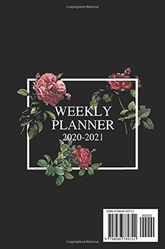 Weekly Planner | Soft Cover | 105 Pages | 6 x 9 Inches | Christmas, Halloween Gifts: PE Teacher Club: Weekly & Monthly View Planner, Organizer & Diary For Teachers