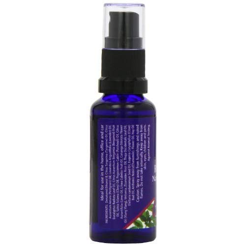 Absolute Aromas Spray Natural Relajante para Habitaciones 30ml con Aceites Esenciales de Bergamota, Lavanda, Vetiver y Petitgrain - Spray para antes de acostarse, ayuda a relajar el cuerpo y la mente