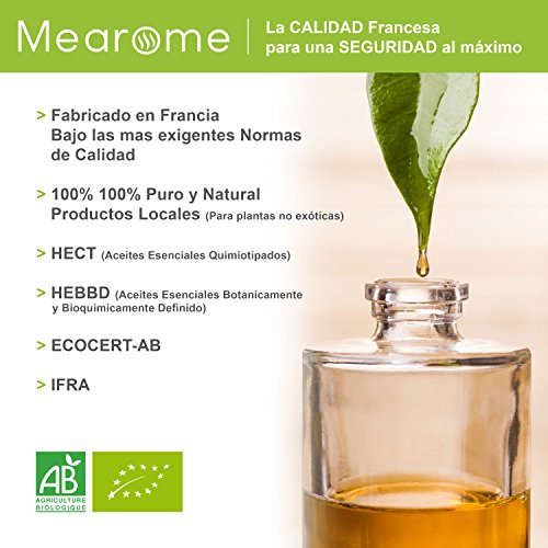 Aceite Esencial De Menta Piperita Puro 30 ml, 100% Natural y Bio | Alivia Dolores de Cabeza Digestión Nauseas Mal Aliento | Ideal para Humidificador Ultrasónico Aromaterapia | Fabricado en Francia