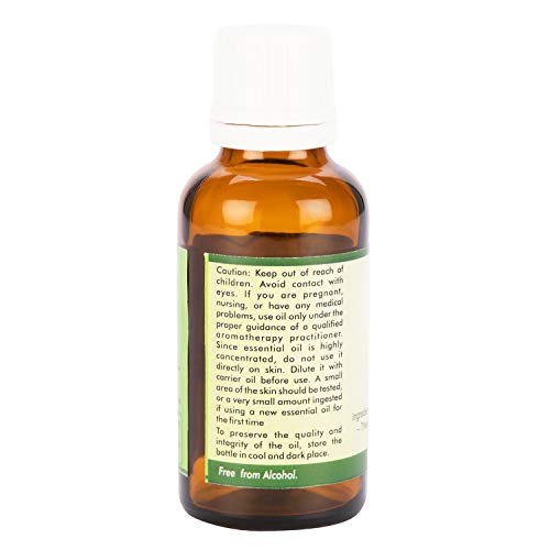 Aceite esencial del jazmín | Jasminum grandiflorum | Para pelo | Para rostro | 100% natural puro | Vapor destiló | Grado Terapéutico | Jasmine Essential Oil | 15ml | 0.507oz By R V Essential