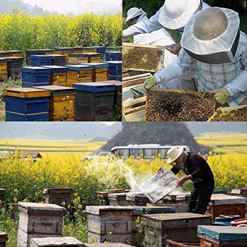 ADESUGATA Acero Inoxidable Colmena,Ahumador de Colmena,Bee Hive Herramientas apícolas,Acero Colmena Material para la Apicultura Equipo