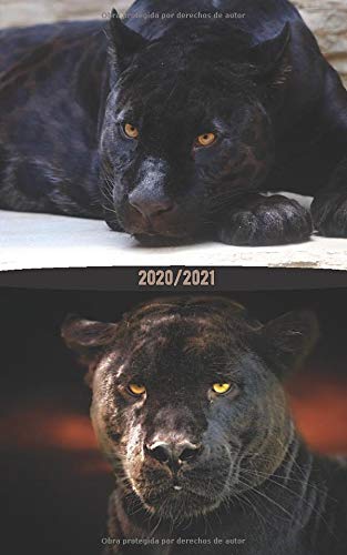 Agenda Escolar 2020-2021 “Pantera negra - Black Panther - Panthère noire”. Español, Inglés y Francés . Tamaño:12,7 x 20,3 cm (5 x 8 in). 100 Páginas/ Tapa blanda.