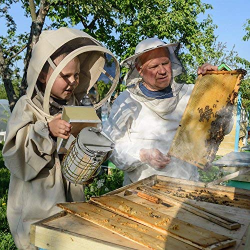 ALIXIN Ahumador de abejas, equipo de apicultura, acero inoxidable de alta resistencia, tamaño grande, flujo de aire superior y excelente salida de humo para apicultura.