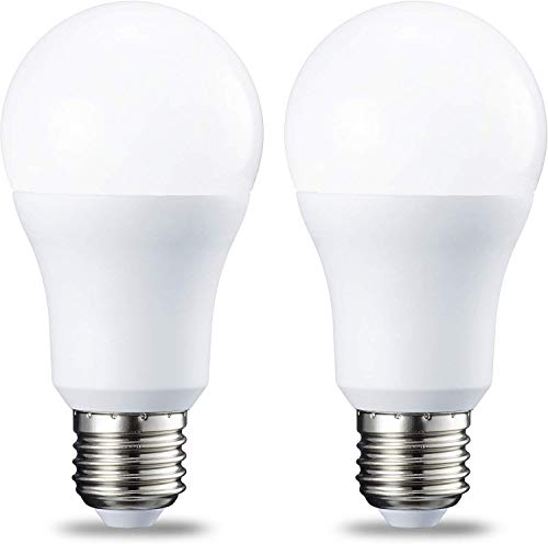 AmazonBasics Bombilla LED Esférica E27, 10W (equivalente a 75W), Blanco Frío - 2 unidades