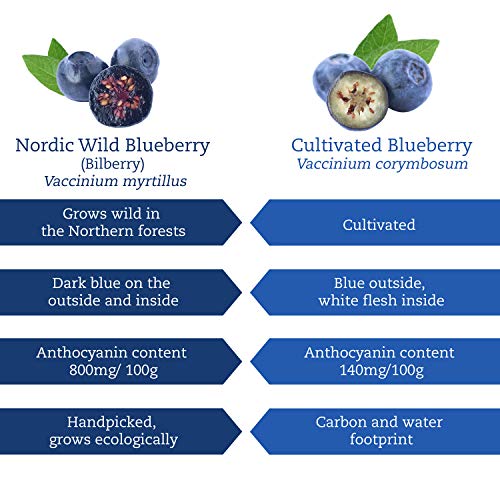 Arándano Azul Silvestre Orgánico en Polvo (Wild Blueberries), 100 g, Obtenido Únicamente a Partir de Cáscaras y Semillas de Bayas, Sin Aditivos, Elaborado Artesanalmente en Los Bosques Nórdicos