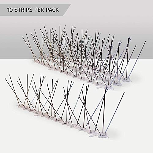 Aspectek Sistema Anti Pájaros de Acero Inoxidable - 10 Hileras de Púas Antipalomas Con Base de Policarbonato Para Control de Aves y Palomas (con Transparent Silicone Glue)