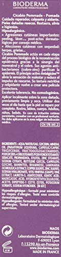 Bioderma Cicabio Pommade Cuidado de Réparateur Apaisant Isolant 40 ml