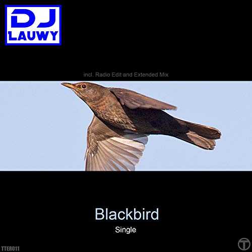 Blackbird (Extended Mix)