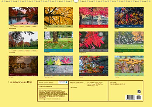 C. Neves, P: Automne au Bois(Premium, hochwertiger DIN A2 Wa: Un automne dans le Bois de Boulogne. (Calendrier mensuel, 14 Pages) (Calvendo Places)