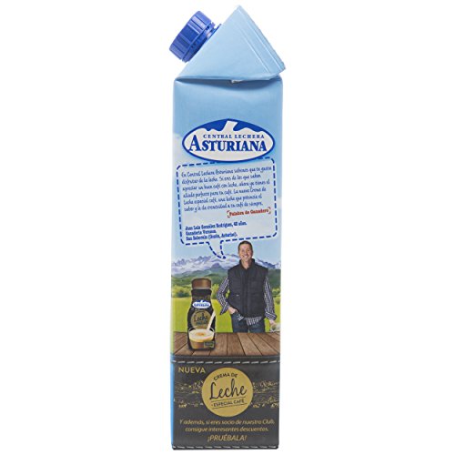 Central Lechera Asturiana - Leche Semidesnatada Brik 1L (Pack 6)