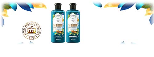 Champú reparador de aceite de argán de Marruecos Herbal Essences Bio-renew, de 400 ml y acondicionador de 400 ml