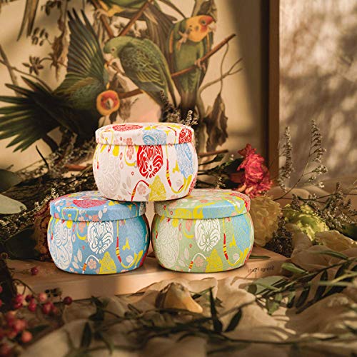 CREASHINE Velas Aromaticas Juego de 4 Piezas Vela Perfumada 25-30 Horas Duración de la Aromaterapia Decoración para Relajación Fiesta Boda Baño Yoga Cumpleaños Navidad Día de San Valentín