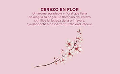 CRISTALINAS. Ambientador Mikado Clásico. Difusor con Varillas de ratán. Formula sin Alcohol. Máxima duración, más de 16 semanas. 180ml de Capacidad. Aroma Cerezo en Flor