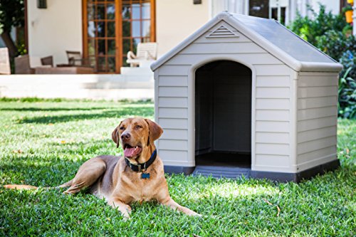 Curver 12-921177 - Caseta de perro para jardín, Color topo/beige, 95x99x99 cm