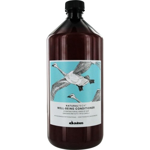 Davines Natural Tech Well-Being Acondicionador - 1000 ml