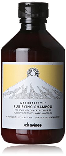 Davines Naturaltech Purifying - Champú, 250 ml