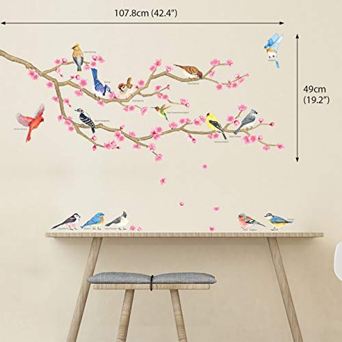 DECOWALL DWL-2009 Aves de jardín y flor de cerezo Vinilo Pegatinas Decorativas Adhesiva Pared Dormitorio Salón Guardería Habitación Infantiles Niños Bebés