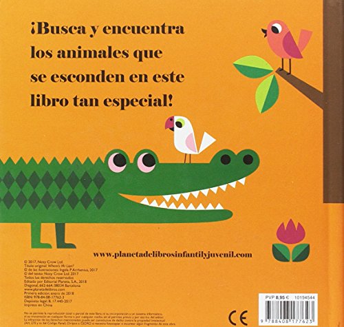 ¿Dónde está el señor León?: Solapas de tela y un espejo (Libros con texturas)