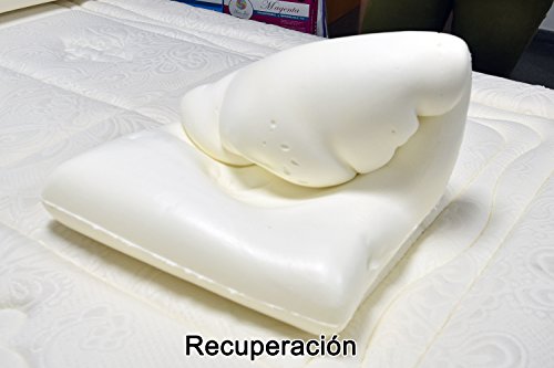 Dormio - Almohada viscoelástica con perfecta adaptabilidad al cuello, Tejido Aloe Vera, Termorregulable, Blanco, 105 cm