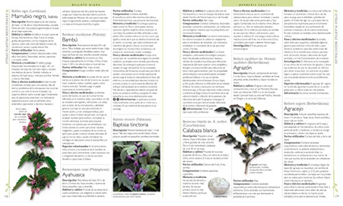 Enciclopedia de plantas