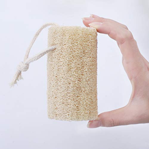 Esponja natural Luffa, 6 unidades, 10 cm, Esponja natural Luffa, para baño y ducha, perfecta para el cuidado corporal, decoración y limpieza de cocina