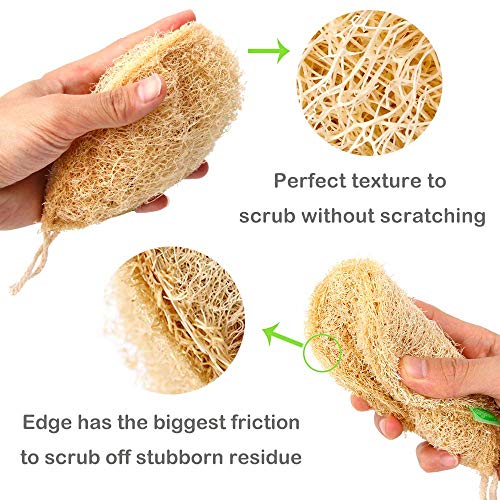 Esponjas de luffa, Esponjas orgánicas naturales para lavar platos Paquete de 6,exfoliante de lufa orgánica Fabricado de lufa egipcia superior/100% orgánico, biodegradable y ecológico