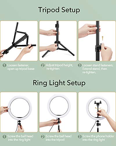 ESR 25cm LED Anillo de Luz con Trípode y Soporte para Teléfono Móvil, 10” Anillo de LED con Luz de Belleza para Vlogs, Youtube Video, Selfies, Maquillaje, Fotografía y Directos, Intensidad Regulable