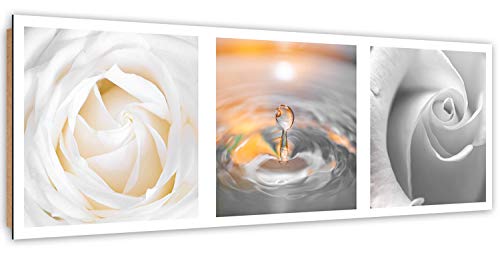 Feeby Imagen Foto Gota Agua Flor Mural Arte Decorativo Composición Naranja 90x30 cm