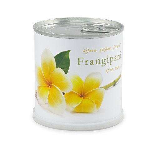 Flores en Caja de Lata Frangipani – Plumier de macfl owers