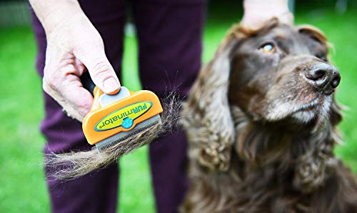 Furminator Herramienta de muda para Perros medianos de Pelo Largo M