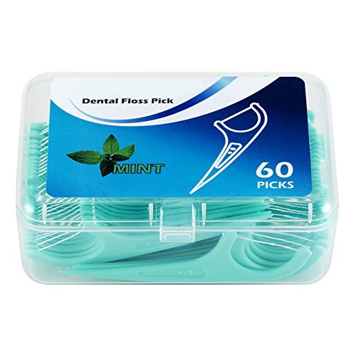 Hilo dental 300 Piezas, Palillos de hilo dental Plástico, hilo dental menta frasca para interdental oral limpieza - Floss sticks - 60 / paquete