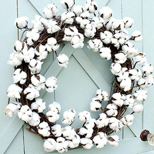 HUAESIN 3Pcs Ramo de Flores Secas Naturales Blanca Rama Algodon Artificial Flores Artificiales Blancas Decoracion para Jarrones Hogar Bodas Fiestas Mesa Cocina Escritorio Restaurante 53cm