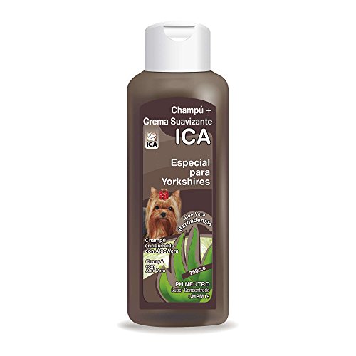 ICA CHPM19 Champú con Aloe Vera para Yorkshire