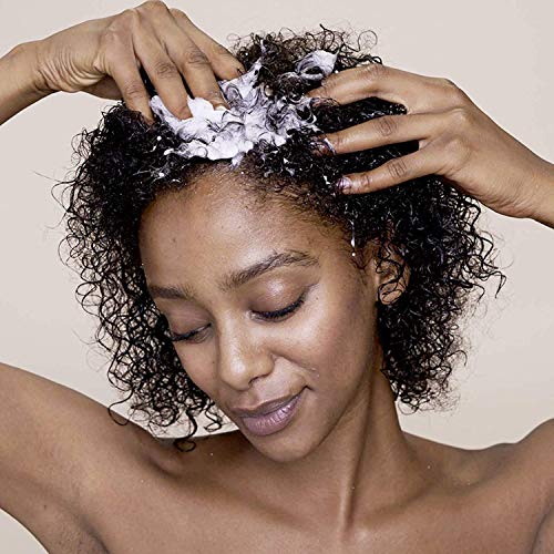 ikoo Infusions Cleansing Scalp Scrub - Exfoliante capilar a base de sales marinas y extracto de flores de hibisco ayuda a eliminar células muertas, para todo tipo de cabello, libre de alcohol - 250 ml