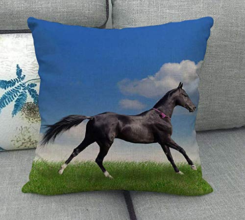 JgZATOA Funda De Cojín Prairie Horse Sala De Estar Sofá Fundas De Almohada Cama Funda De Almohada Cojín De Oficina 45 X 45Cm Juego De 4