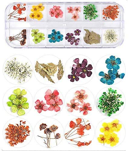 KAHEIGN 96 Piezas Flor Secada de Uñas, Flor Secada Real Del Arte Del Clavo 3D Apliques de Uñas Piezas de Uñas Decoración de Arte de Uñas de Manicura de Flores Preservadas - con Pinzas