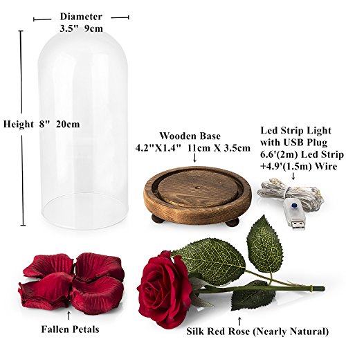 Kit de Rosas La Bella y la Bestia, Rosa de Seda roja y luz LED con pétalos caídos en la cúpula de Vidrio en la Base de Madera para la decoración del hogar Boda Cumpleaños Día de la Madre