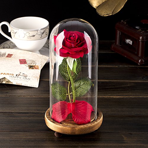 Kit de Rosas La Bella y la Bestia, Rosa de Seda roja y luz LED con pétalos caídos en la cúpula de Vidrio en la Base de Madera para la decoración del hogar Boda Cumpleaños Día de la Madre