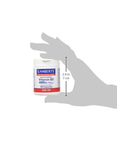 LAMBERTS - VITAMINA D3 4.000ui 120perl L8412120