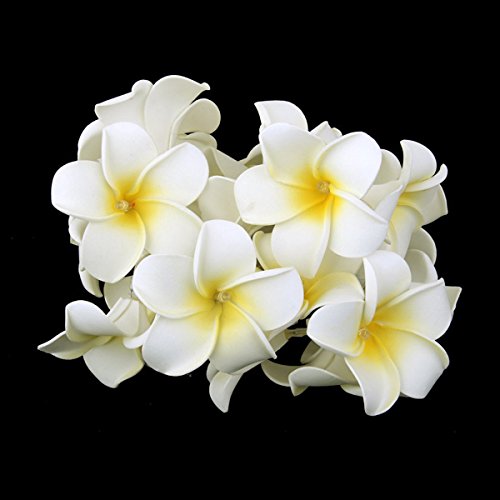 LEDMOMO Flor Guirnalda Luminosa Bateria Operado Cadena de Luces 20 LED Frangipani Plumeria Flor Decoración (Luz Blanca Cálida)