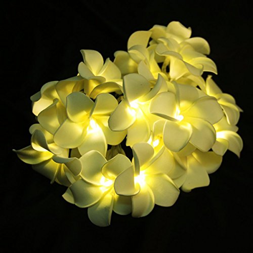 LEDMOMO Flor Guirnalda Luminosa Bateria Operado Cadena de Luces 20 LED Frangipani Plumeria Flor Decoración (Luz Blanca Cálida)